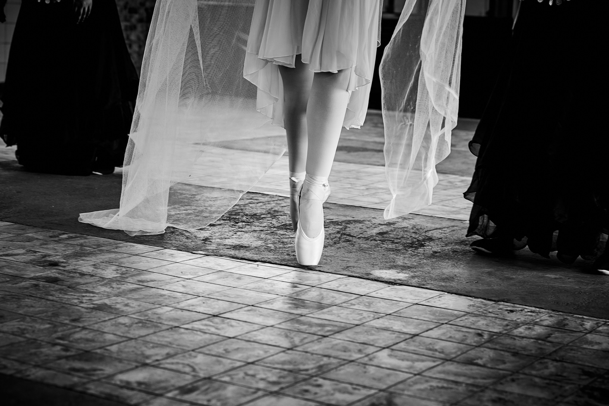 0068 kjk nachtfrequenz 2023 cramer fotografie